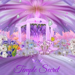 05 - Temple Secret